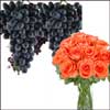 Fruits N Flowers Combo-9 - Click here to View more details about this Product